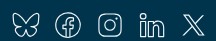 Social media icons
