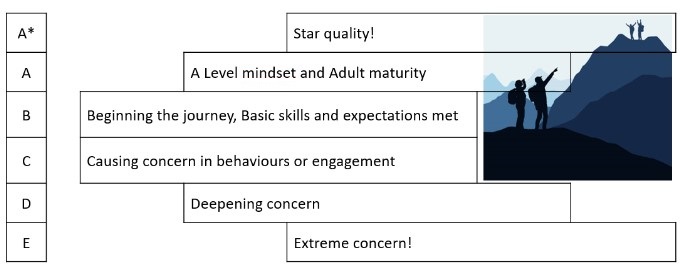 Contribution levels illustration