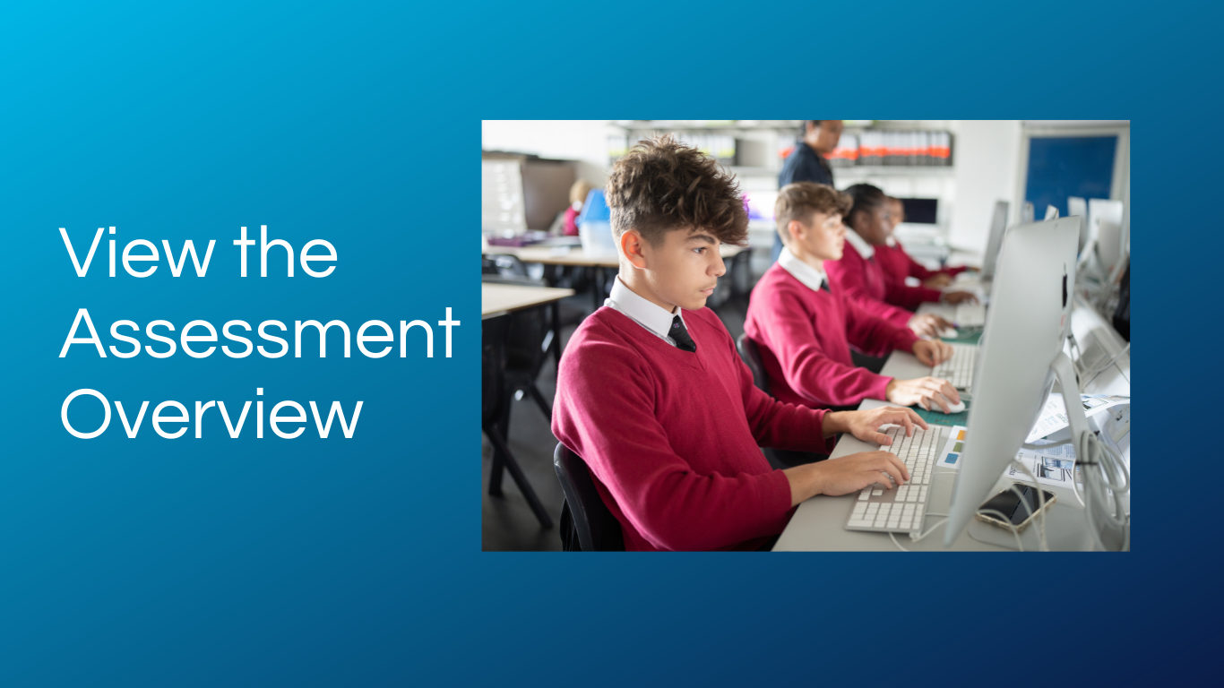 Click to view the Assessment Overview