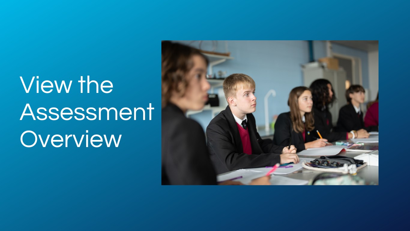 Click to view the Assessment Overview