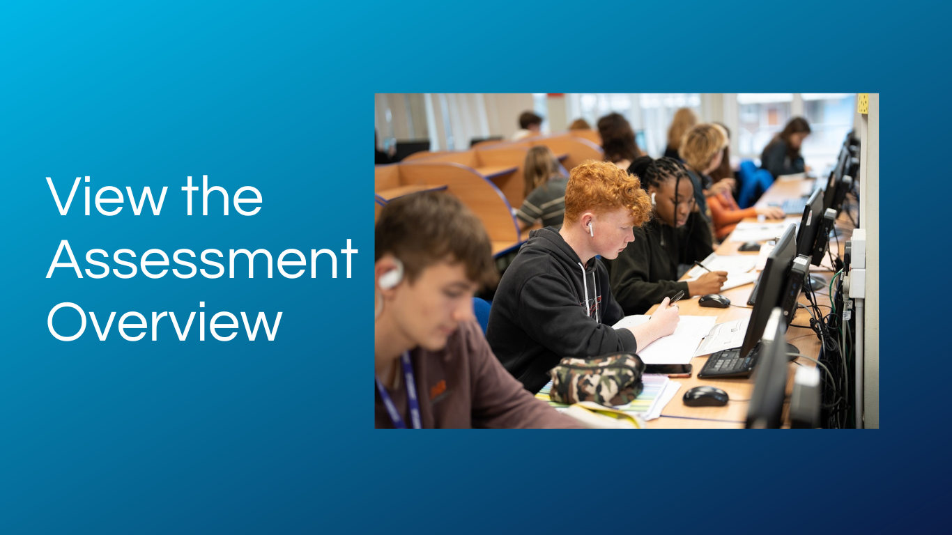 Click to view the Assessment Overview