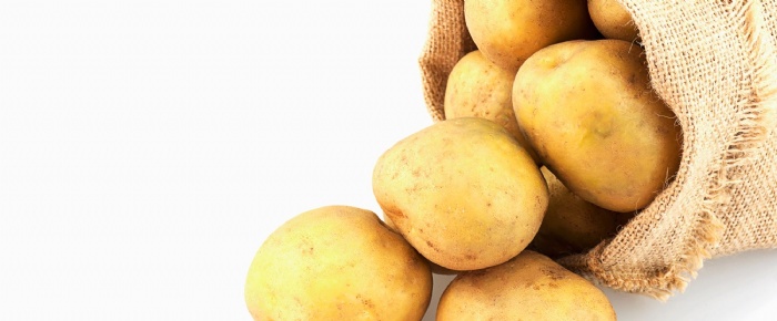 A cloth sack with several potatoes tumbling out.