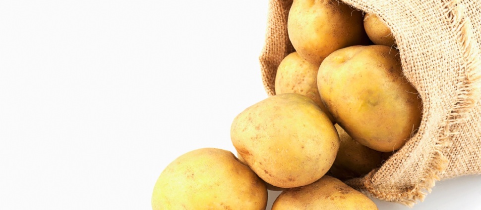 A cloth sack with several potatoes tumbling out.