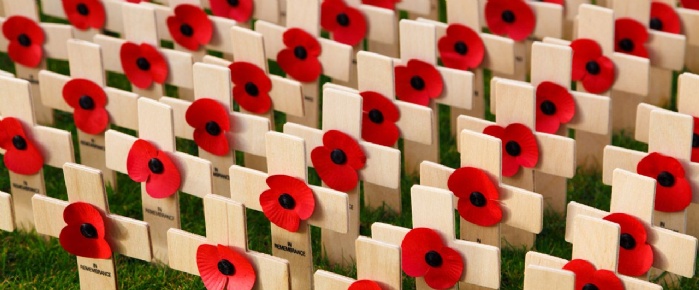 Rows of Poppies on Crosses Public Domain Image from publicdomainpictures.net