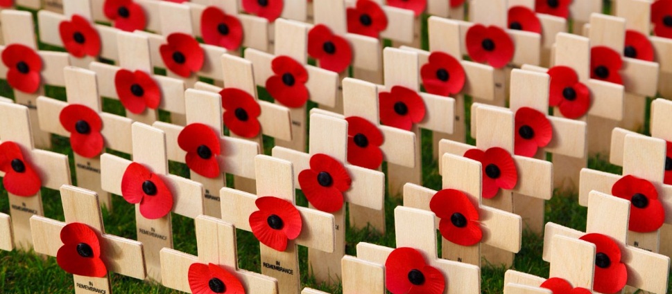 Rows of Poppies on Crosses Public Domain Image from publicdomainpictures.net